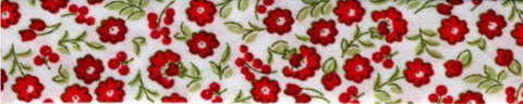 Stephanoise Liberty Bias Binding Red Floral