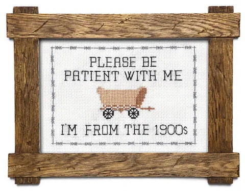 Please Be Patient With Me Cross Stitch Kit (Subversive Cross Stitch)