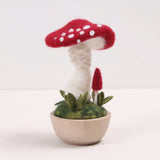 Crimson Toadstool Needle Felting Kit (Benzie Design)