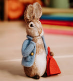 Beatrix Potter - Peter Rabbit and his Pocket Handkerchief