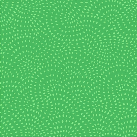Twist Kiwi