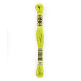 DMC Strandable Cotton Embroidery Floss