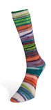 Eclectic Sock Laines du Nord