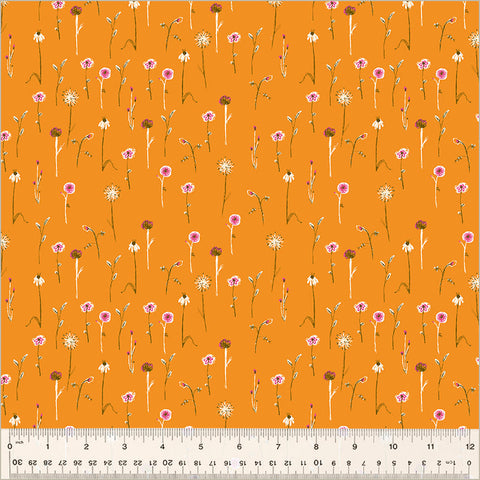 Wildflowers Orange