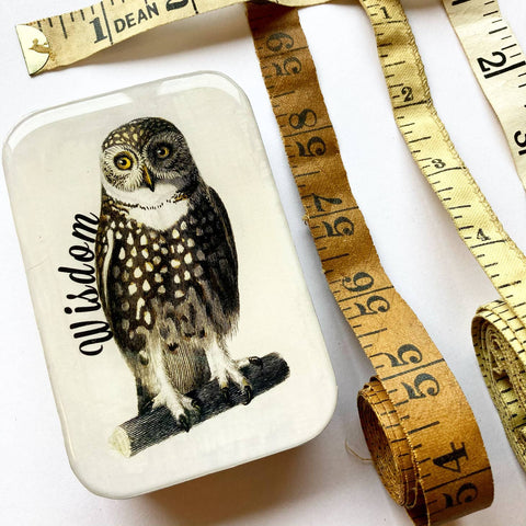 Wise Owl Storage Tin