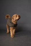 The Barka Dog Coat Pattern Merchant and Mills