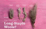 PLY Issue 52 Spring 2026