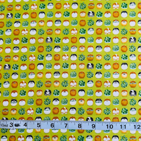 Senyo Shiba Inu Balls Kiwi