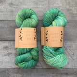 Lichen and Lace 80/20 Sock