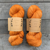 Lichen and Lace 80/20 Sock