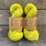 Lichen and Lace 80/20 Sock