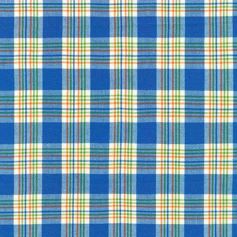 Summer Breeze Coastline