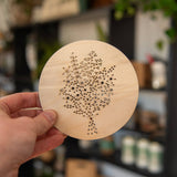 Daisy Bouquet Embroidery Kit (Still Magnolia)