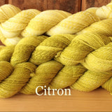 Ewetopia Helix Fine
