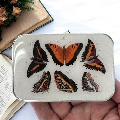 Orange Butterflies Storage Tin (Firefly Notes)