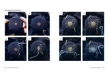 Visible Mending