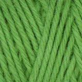 Queensland Coastal Cotton Solid