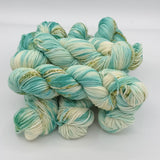 Gnome Depot Fiber Porcini