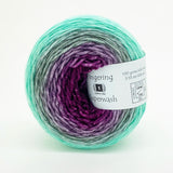 Freia Ombré Shaniko Merino Superwash Fingering