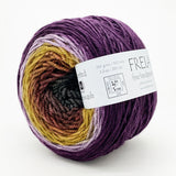 Freia Ombré Shaniko Merino Superwash Worsted