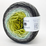 Freia Ombré Shaniko Merino Superwash Worsted