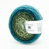 Freia Ombré Shaniko Merino Superwash Worsted