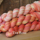 Ewetopia Helix Fine