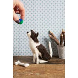 Border Collie Needle Felting Kit
