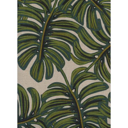 Menagerie Monstera Canvas